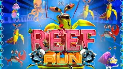 reef run 1